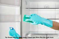 Membersihkan Kulkas 2 Pintu